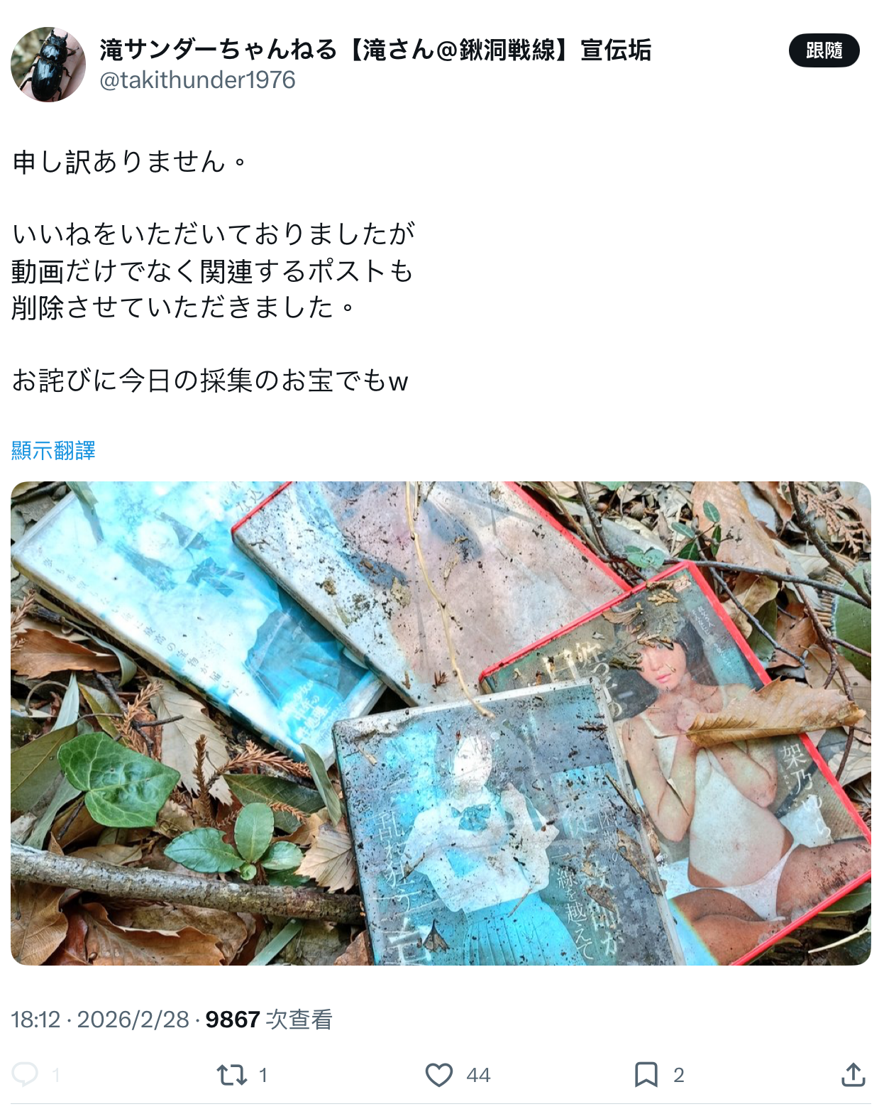 作品被丢到山里⋯架乃ゆら(架乃由罗)这么看-图片1